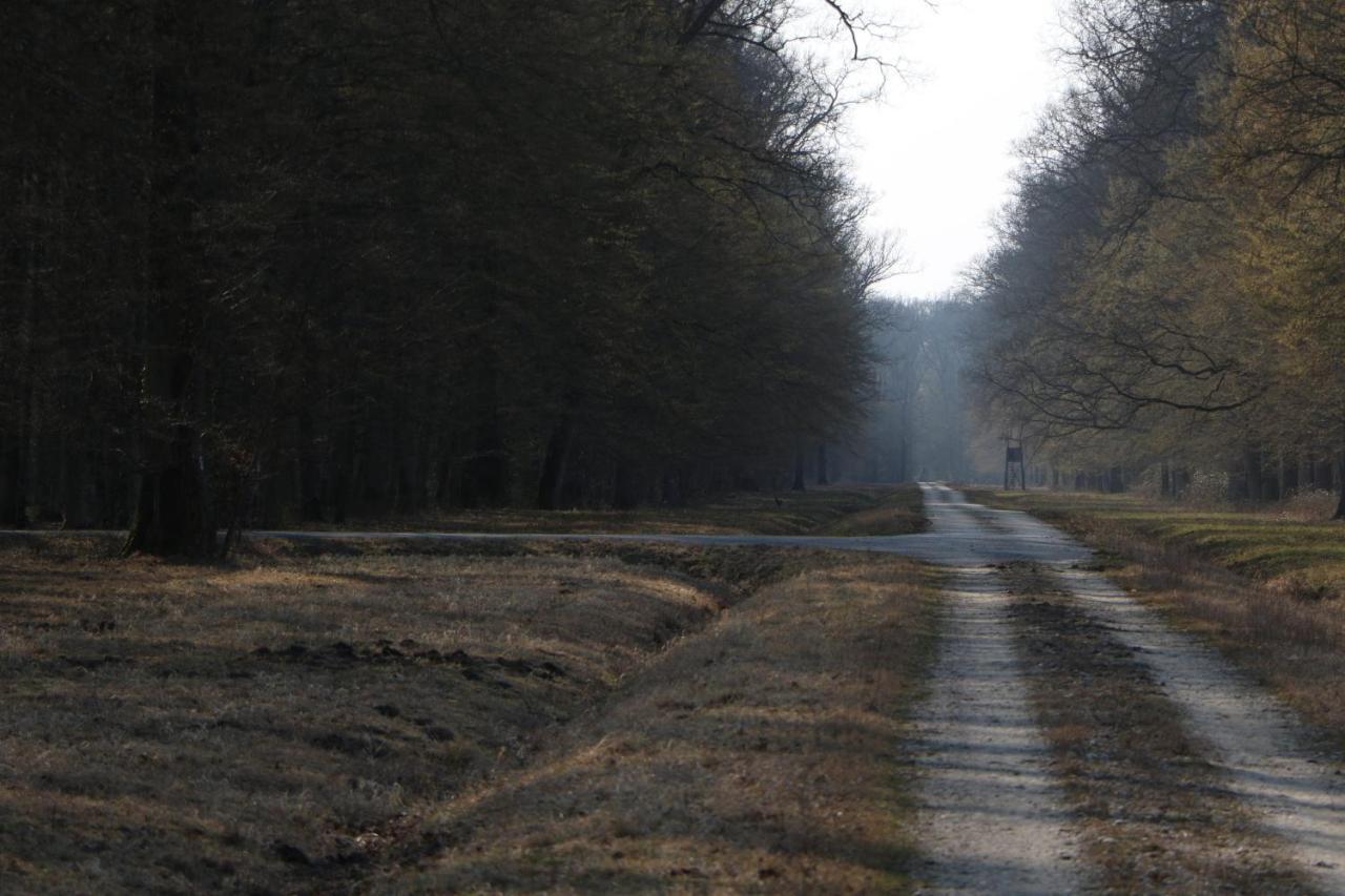 Апартаменти Sobe Pilajevo 2, 183 Ulica Stjepana Radica, Gola Екстер'єр фото